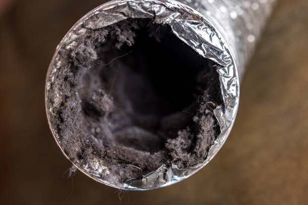 Best HVAC Duct Inspection Services  in Woodland Beach, MI