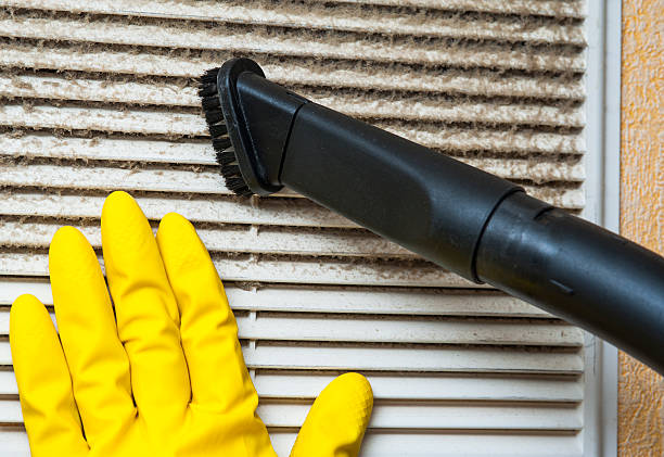 Best Duct Cleaning for Homes  in Woodland Beach, MI